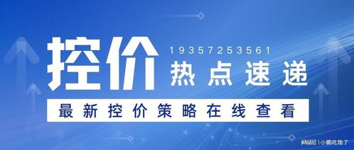 如何选择专业品牌控价公司并展望2026年服务升级 聚焦信息技术咨询服务